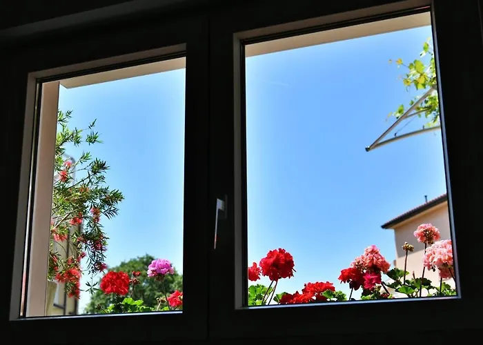 foto di Apartment Mary 3 Malinska