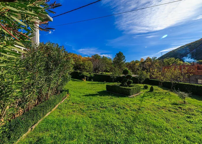 Hundefreundliches Apartment Mit Grillbereich, Privatparkplatz, Wifi In Ruhiger Lage Grižaneの写真